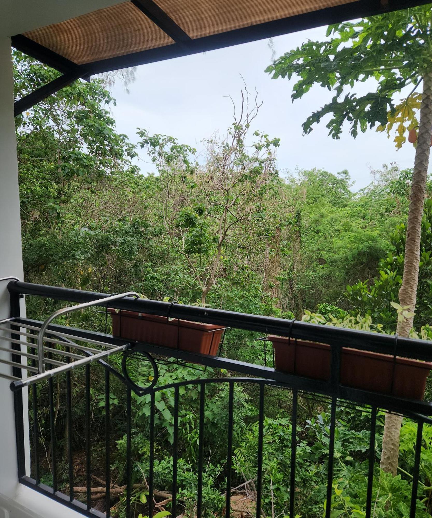 Condo Azur Suites B316 Near Airport, Netflix, Stylish, Cozy With Swimming Pool Lapu-Lapu City Exteriör bild